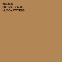 #B38656 - Muddy Waters Color Image